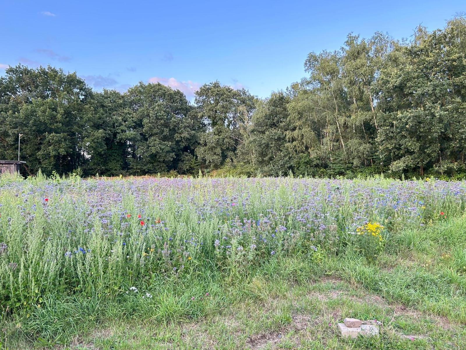 Xantener Ferienhaus Heeser Weg Esterno foto